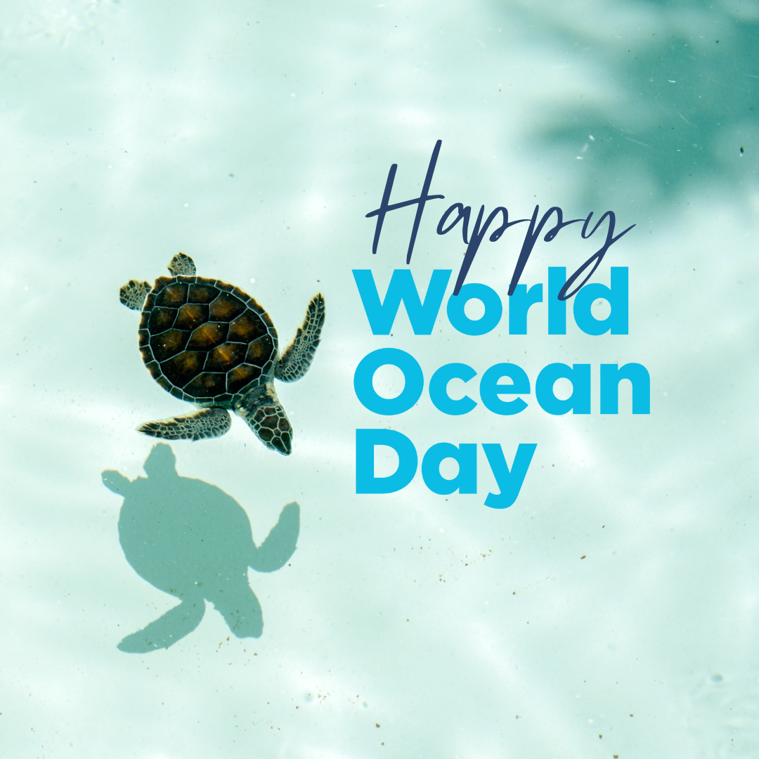 6.8 World Oceans Day（世界海洋デー）
